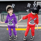 Boys And Girls Cotton/Velvet Bunny 2 Pcs Set - Wild Child Closet
